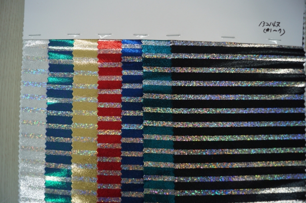 Warp Knit Twin Span Hologram stripe on Colored Wetlook foil
